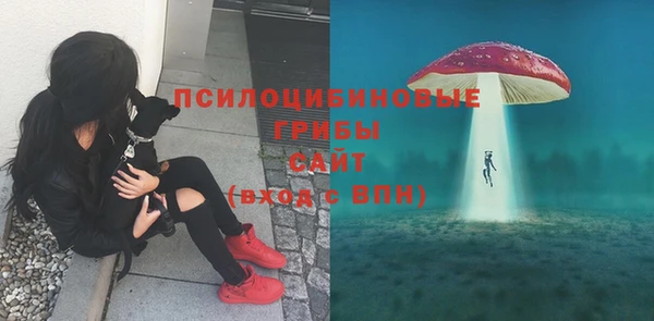 дмт Остров