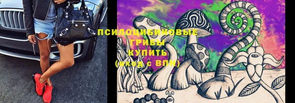мдпв Осинники