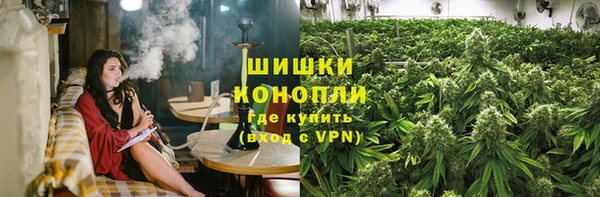 мдпв Осинники
