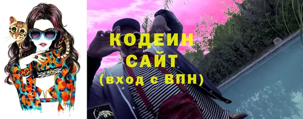 мдпв Осинники