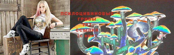 эйфоретик Осташков