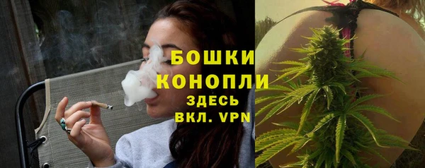 эйфоретик Осташков