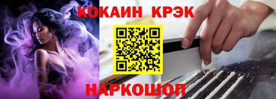 СК Кингисепп