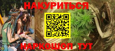 СК Кингисепп