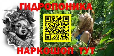 мдпв Кимры