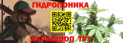 СК Кингисепп