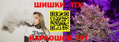 СК Кингисепп