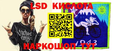 СК Кингисепп