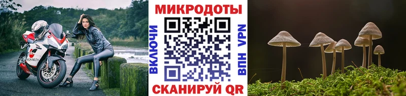Псилоцибиновые грибы Psilocybe что такое Печора