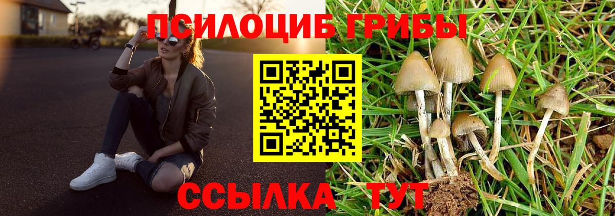 Псилоцибиновые грибы мухоморы  Вход с VPN  Галлюциногенные грибы ЛСД  где найти   Печора 