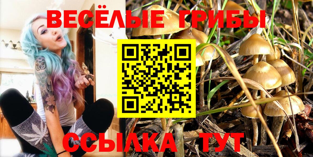 Псилоцибиновые грибы GOLDEN TEACHER Печора