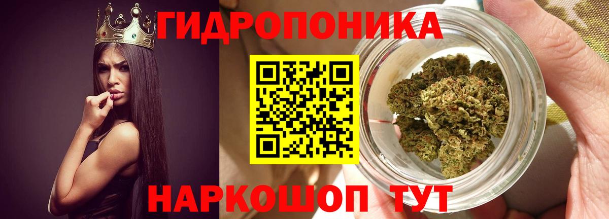 Конопля MAZAR Печора